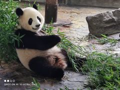 -上海野生动物园