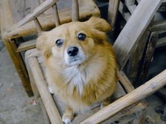 -亮佳鸿华二手市场