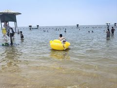 -碧海金沙