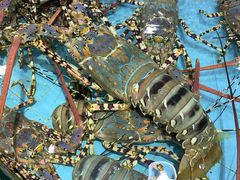 -渔民新村(番禺总店)