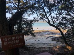 -坝光海滩