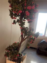 -北京俪婴妇产医院(朝阳大悦城店)