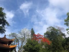 -深圳仙湖植物园