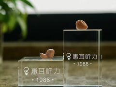 -惠耳听力助听器(霍邱新蓼大道店)