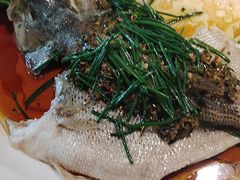 -大鸽饭(马王堆店)