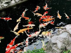 -金海华·华宴江南(斜塘店)