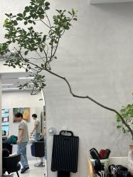 -艺鑫发型工作室YX·HAIR STUDIO