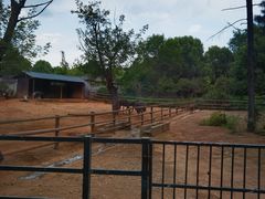 -辣不怕口味虾(凌霄路店)