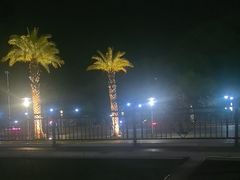-野狸岛