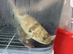 -老季市·三代非遗传承·地标美食老汁鸡(工农路店)