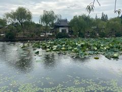 -无锡蠡湖国家湿地公园-蠡园