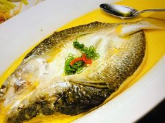 鸡汁大白条-穿越·外婆家(西溪天堂店)