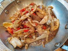 -饭怕鱼(阳光100店)