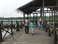 -溱湖国家湿地公园