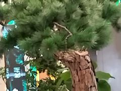 -桂满陇·蟹黄小笼汤包(中山公园店)