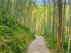 -千泷沟大瀑布旅游区