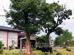 -杏花村文化旅游区