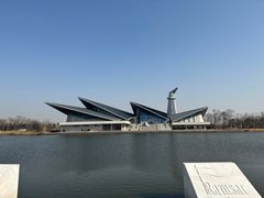 -盐城丹顶鹤湿地生态旅游区