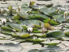 -长春公园(普阳街道)