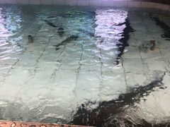 -胖姐渔村(中源大道店)