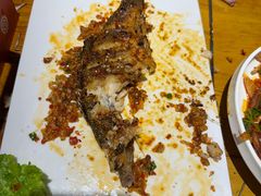 -小杨烤肉(朱雀店)