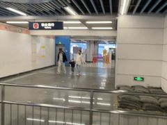 -大望路(地铁站)