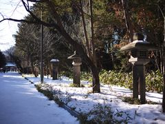 -北海道神宫