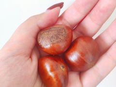 -二斗栗子(西湖道店)