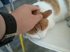 -五进制 Coffee Shop
