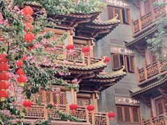 -越秀西湖花市(广州城市广场花卉店)