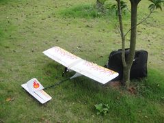 揽胜园-广州国际生物岛山地公园揽胜园