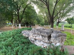 -永定河休闲森林公园