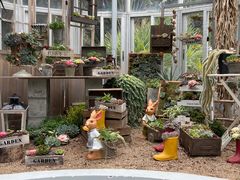 -深圳仙湖植物园
