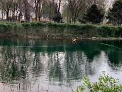 -长白岛森林公园