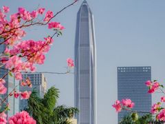 -莲花山公园