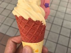 -麦当劳(新王府井店)