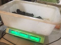 -烧哥美蛙肥肠鱼火锅·十五年社区店