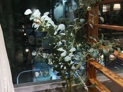 -188西餐厅(园林宾馆店)