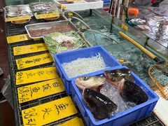 -寻味顺德·南记酒家·传统顺德菜·鱼生(广源路店)