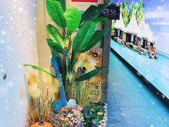 -泰妃殿(宏伊国际广场店)