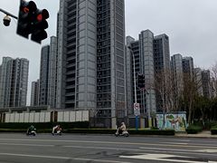 -皇粮浜湿地公园