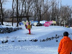 -中旅松花湖滑雪场