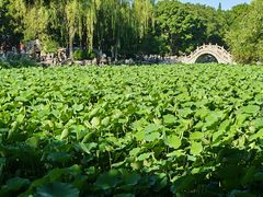 -莲池书院博物馆