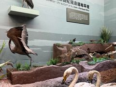 -大庆市博物馆