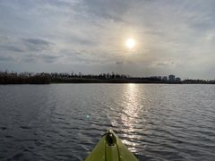 -春花秋色城市公园