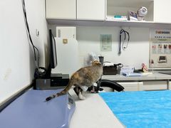 -达爱动物医院·犬猫分区·CT·复杂眼科(远洋山水分院)