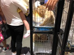 -远洋未来广场(育慧北路店)