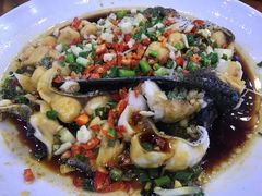 -全乐鱼馆·淳牌有机鱼直营店