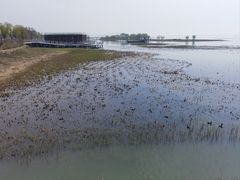 -苏州香山国际大酒店