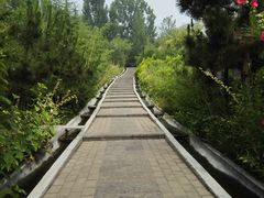 -龙门崮风景区